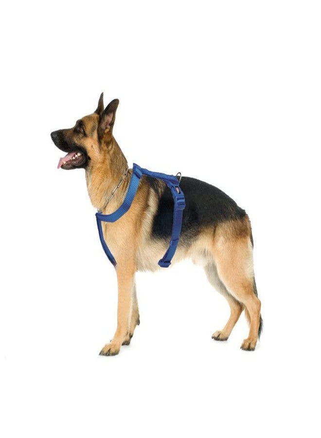 Trixie Premium H-Harness Belt for Dogs, Stylish Design, Adjustable Webbing Tape, Strain Relief, Lightweight & Adjustable Straps (S-M, Royal Blue) - Image 3